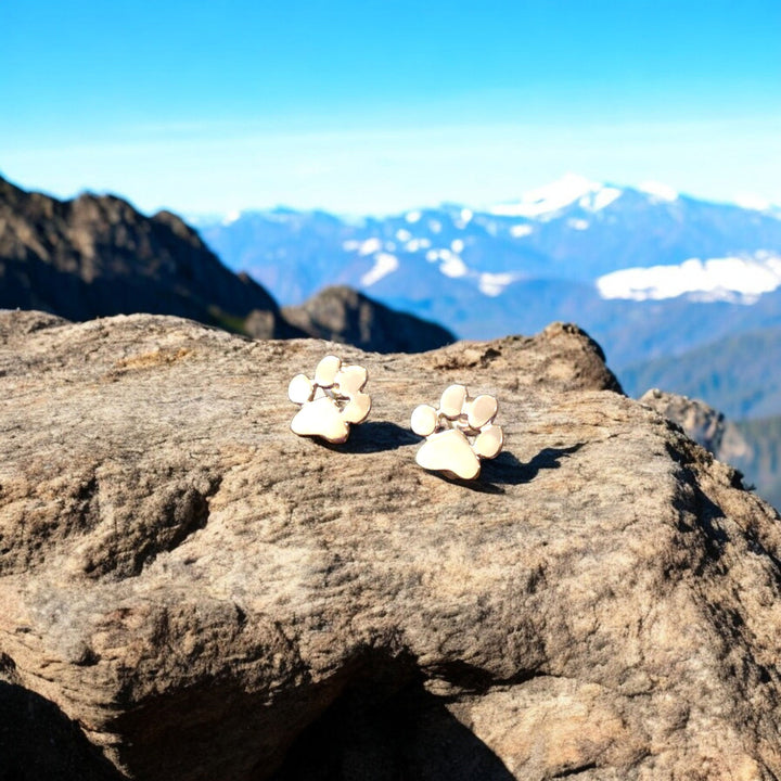 Håndcuffs i rustfrit stål, allergivenlige
