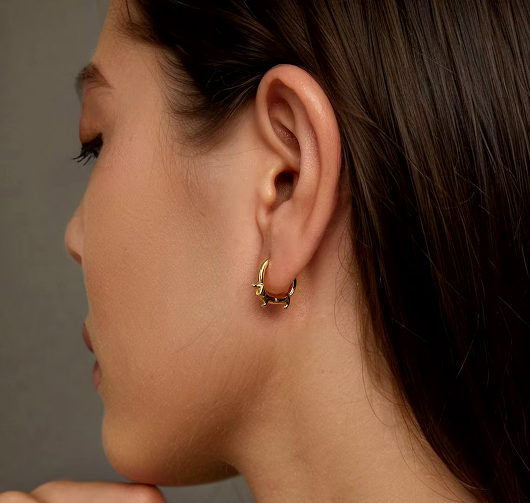 Dachshund Hoops i Sølv